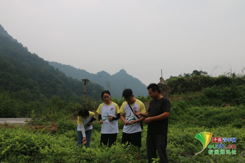 william威廉亚洲(中国)有限公司